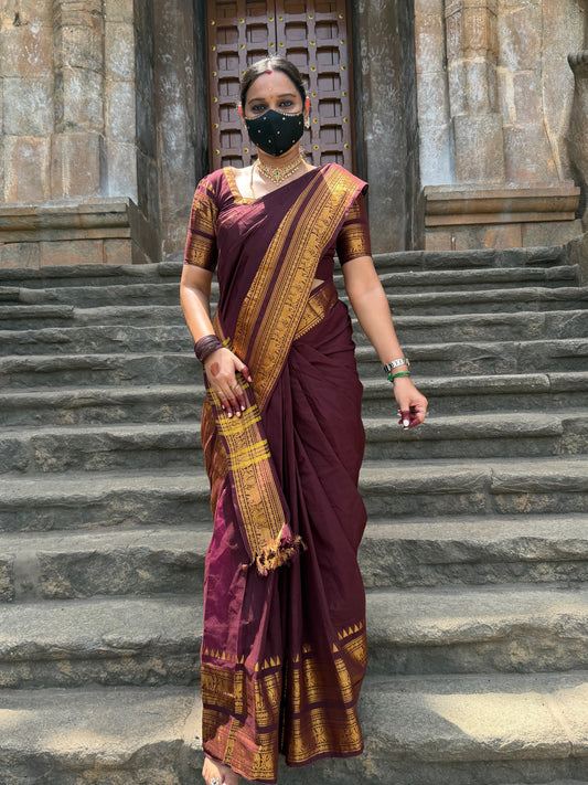 SL979 Coffee brown Kanchi cotton saree